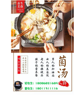 批发 供应雅乐鲜山珍煲汤料400克