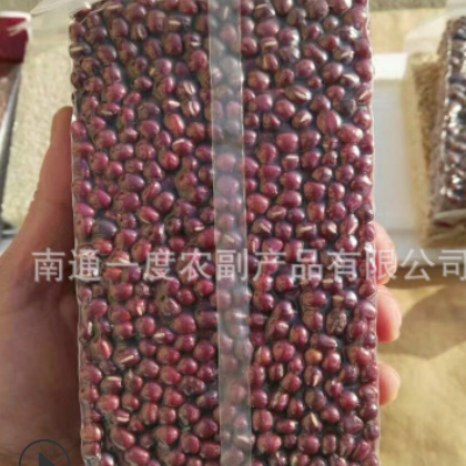 红豆厂家批发 红豆沙 五谷豆浆 烘焙原料 干货农产品 厂家直销