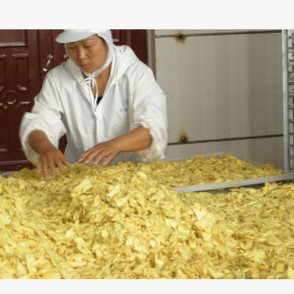 云南小黄姜精品无硫干姜片生姜片食用干姜片出口品质图3