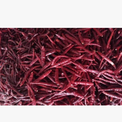 云南小椒即丘北辣椒干辣椒 干椒火锅底料调料批发出口级去把辣图2