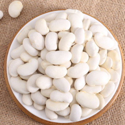 高原特产农产品雪豆批发 食用豆类产品扁豆直销供应500g一件代发图3