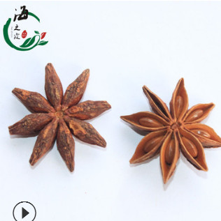 厂家供广西应大红八角大料大茴香调味香料卤料可出口可商检可开票图2