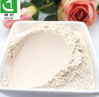 大蒜粉直销批发调味料 质量稳定蒜粉脱水蔬菜粉 香料调味品