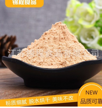 厂家直销 调味香料洋葱粉 香辛调味料洋葱粉 量大价优 品质可靠