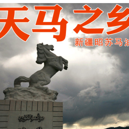 中国天马之乡新疆伊犁天然精纯马油 手工皂专用原料 非进口马脂图2