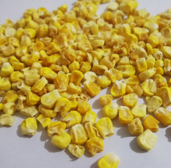 冻干玉米粒现货供应 熬煮搭档粗粮FD玉米粒玉米汁 食品级冻干玉图2