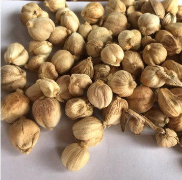 产地货源中药材现货批发香料散装水洗白豆蔻图3