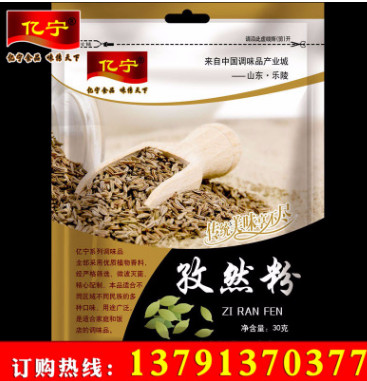 30g袋装调味品孜然料 烧烤调味品味足孜然粉 量大优惠