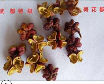 2019甘肃陇南纯正大红袍产批发调味品火锅底料花椒 新货干花椒图2