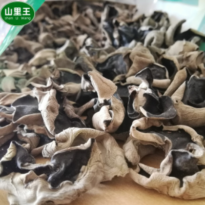 秋木耳 小朵木耳 青冈椴木黑木耳 陕南椴木黑木耳产地货源图3