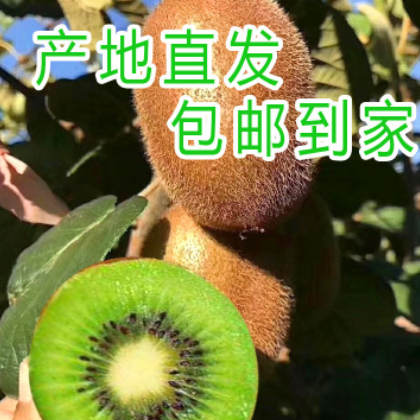 产地直发陕西水果眉县特产 香甜大颗饱满水果多汁猕猴桃