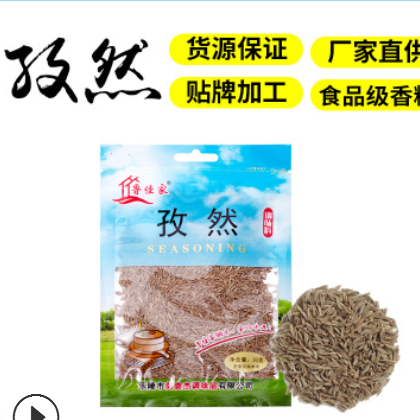 产地厂家直供 鲁佳家 孜然粒30g 家庭小包装 可贴牌定制代加工