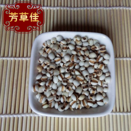 批发中药材薏苡仁 大粒薏米 新货薏苡仁米 五谷杂粮粗粮图2