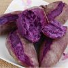 山东紫薯新鲜地瓜农家现挖软糯蜜板栗10斤山芋小番薯蔬菜紫心红薯