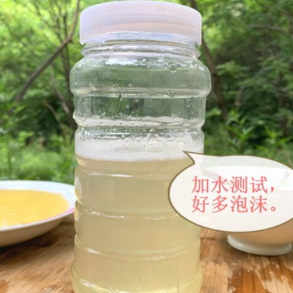 丁家园 洋槐花蜜天然农家自产洋槐蜜可拉丝回弹1000g/瓶 一件代发图2