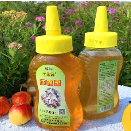 丁家园蜂蜜洋槐蜜 农家自产蜂蜜 蜂蜜一件代发 量大从优500g