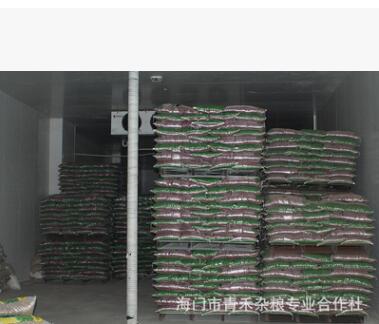 黑芝麻 生黑芝麻 江苏黑芝麻 糠麻优质国产芝麻双壳芝麻图2