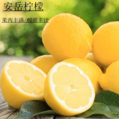 安岳新鲜柠檬新鲜一件代发 非香水青柠檬产地直销
