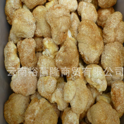 【裕菌隆】 猴头菇 食用菌猴头菇批发 猴头菇干货 酒店猴头菇干品图2