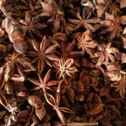 新品促销 干货八角茴香 大料500g 调味品批发大全 厨房香料 八角图3