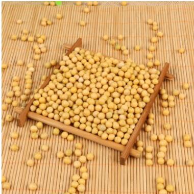 批发东北大豆 黑龙江高蛋白豆图3