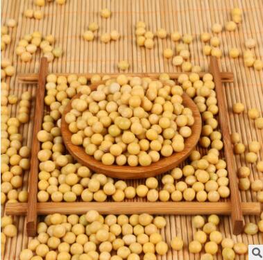 批发东北大豆 黑龙江高蛋白豆图2