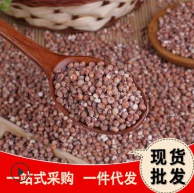 厂家供应脱皮红高粱米 农产品高粱米 五谷杂粮批发高粱米