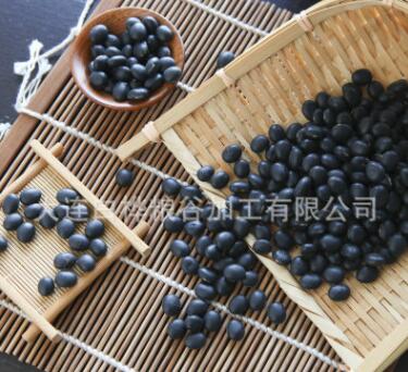 东北特产绿芯青仁黑豆 烘焙豆浆用小乌豆黑豆 五谷杂粮青仁乌豆图2