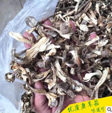 鹿茸菇干菌山珍干食用菌图2