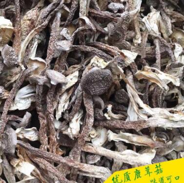 鹿茸菇干菌山珍干食用菌图3