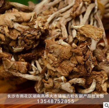 古田茶树菇干货 原产地当季新散装扎捆 优质食用菌
