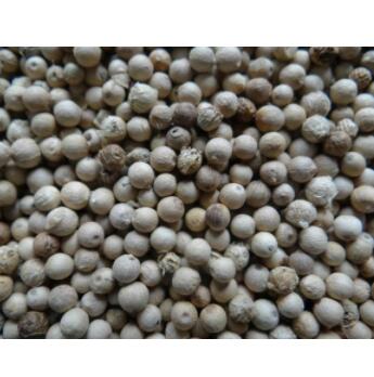 供应调味品大量批发优质海南白胡椒粒 火锅调味香料 白胡椒散装图3