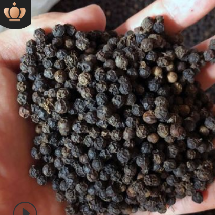 现货批发越南黑胡椒1kg装 精选6两黑胡椒粒 西餐牛排香料批发胡椒图2