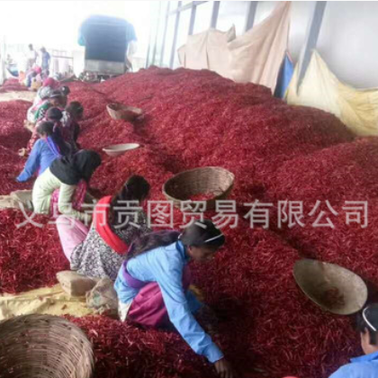 印度进口去把摘把S17辣椒 干红辣椒高辣度火锅底料无现货欢迎订购图2