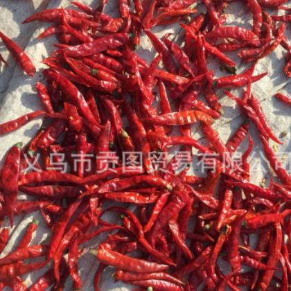 2019年 印度新辣椒上市 S14品种辣椒 干红辣椒 进口货源 无现货图2