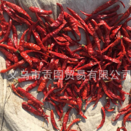 2019年 印度新辣椒上市 S14品种辣椒 干红辣椒 进口货源 无现货图3