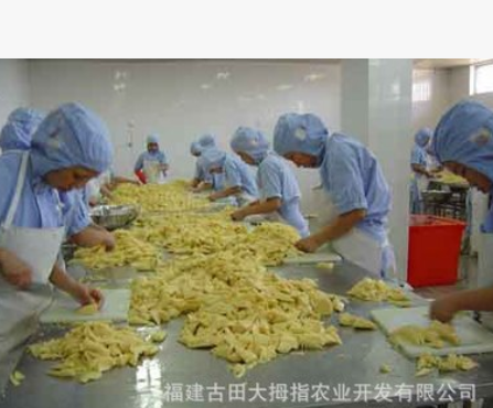 古甜笋片 1kg笋片，毛竹笋片 冬笋片，竹笋批发图2