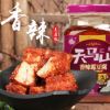 豆腐乳农家自制湖南特产红油腐乳麻辣味正宗传统手工霉豆腐香辣味