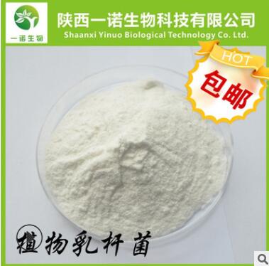 嗜酸乳杆菌 100亿/g 食用益生菌批发图2
