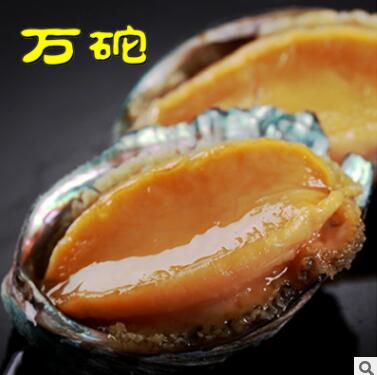大连野生鲍鱼批发 即食冷冻鲍鱼 去黄鲍鱼 500g 8-12头图3
