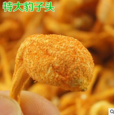 优质虫草花250g 大孢子头 粉性足 北虫草 金虫草 蛹虫草 煲汤材料图3