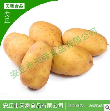 新鲜土豆 新鲜蔬菜 马铃薯图3