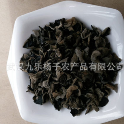 东北秋木耳小碗木耳肉厚 无根一级散装包装500g 东北土特产黑木耳图2
