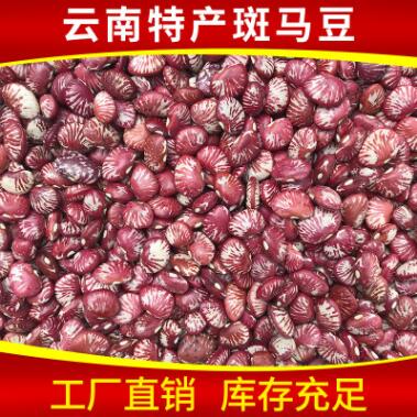 批发小红豆 小粒荷包豆 小花豆 小扁豆 五谷杂粮 八宝粥 炖汤原料图3