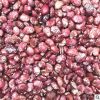 批发小红豆 小粒荷包豆 小花豆 小扁豆 五谷杂粮 八宝粥 炖汤原料