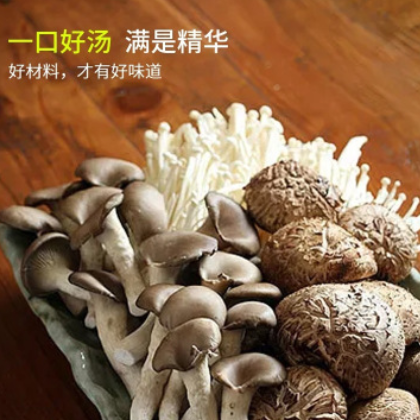 特卖山珍菌菇汤火锅底料滋补清汤锅底料香菇茶树菇原生菌菇汤500图2