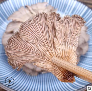 白参菌500g 干净雪莲菌裂褶菌煲汤食用菌散装干货图3