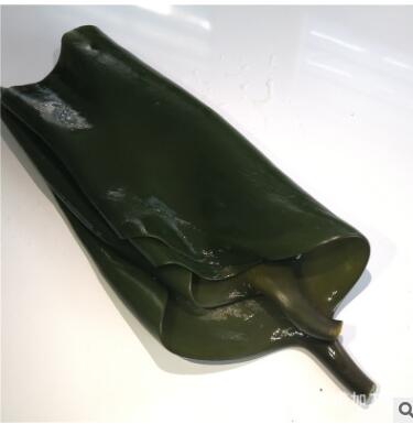 海鲜水特产 深海海带头盐渍海带根 粗加工海产品藻类 火锅海带头图3