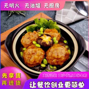 川味网红狮子头速食快餐盖饭料理包 网红外卖菜肴煲仔专用冷冻