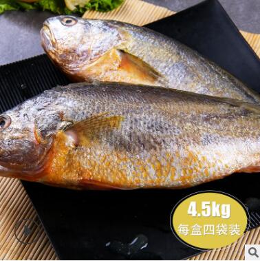 海鲜冷冻批发烹饪黄花鱼肉质鲜嫩4.5斤图2